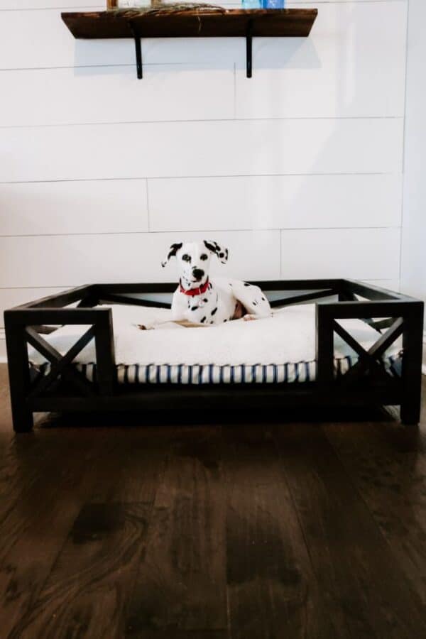 DIY Pottery Barn Dog Bed for Under 50 Pine and Poplar