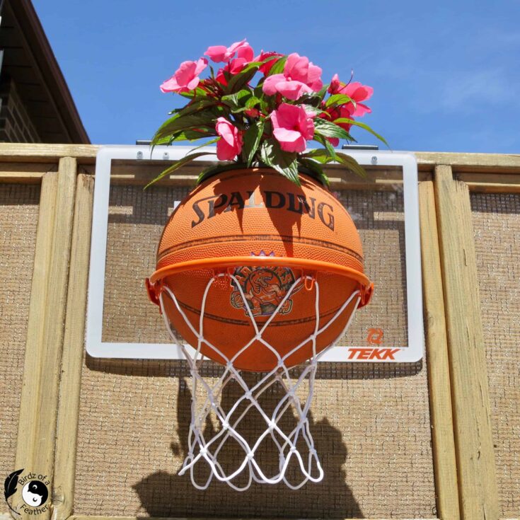 Image for Basketball Planter (Indoor/Outdoor)