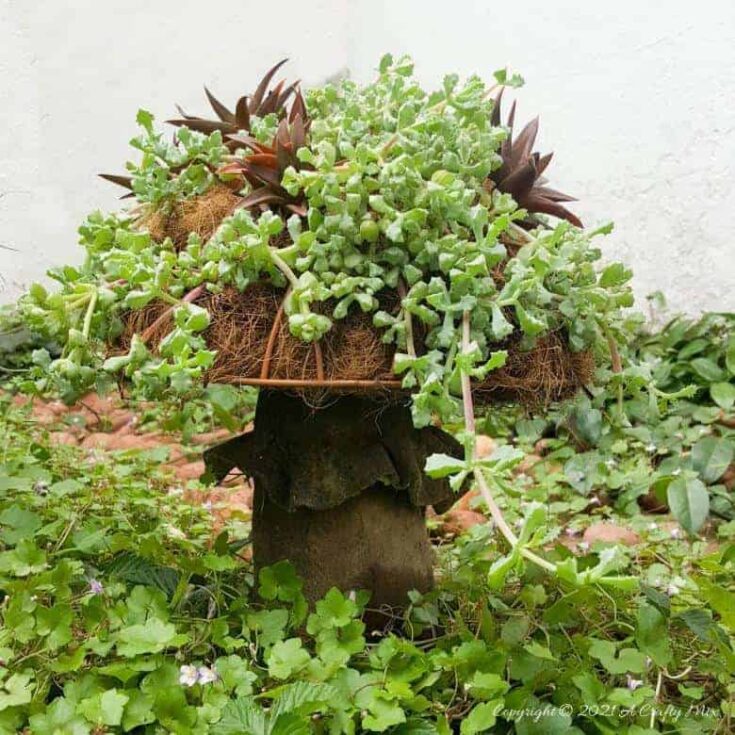 Image for How to Make a Gorgeous Succulent Mushroom Planter