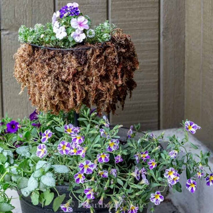Image for Tiered Planter - Easy and Inexpensive to Make Yourself