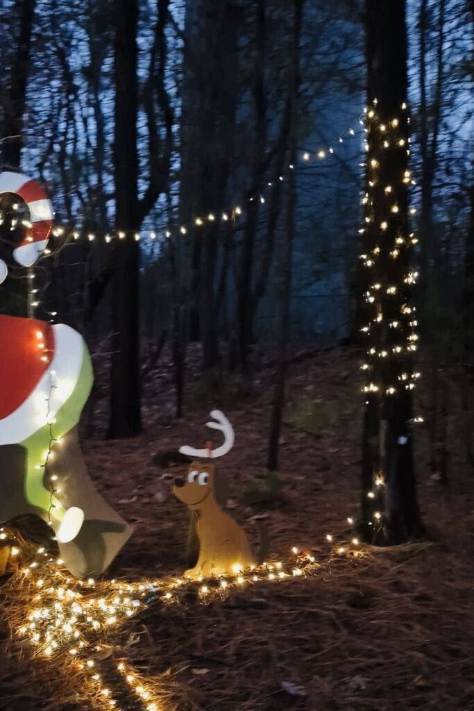 tree in forest wrapped with lights and a strand being stolen from the Grinch's candy cane